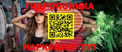 apvp Заволжье