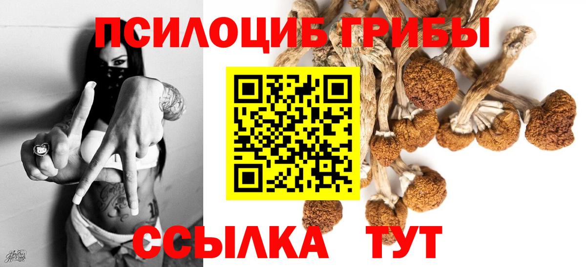 Уфа  Псилоцибиновые грибы Magic Shrooms  Вход с VPN 